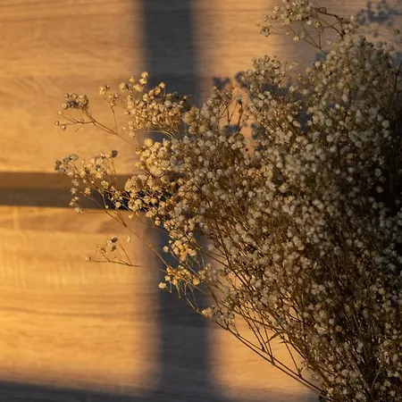 Lieblingsquartier 12 *